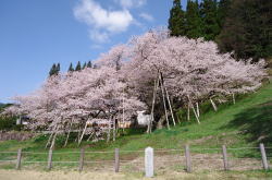 �痴���i����イ������j